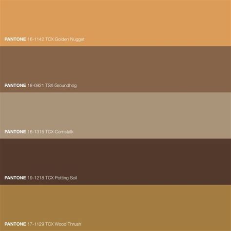 Pantone Saturated Brown Color Scheme • Download Free Adobe Illustrator