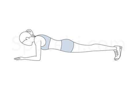 Plank Workout Guide Exercise Plank Workout