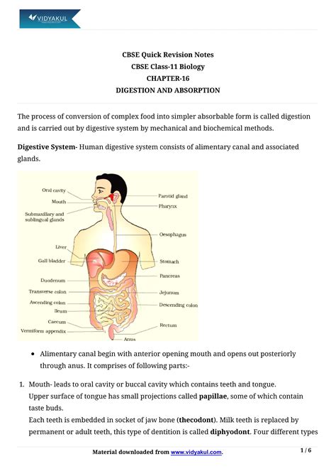 Digestion And Absorption Class 11 Notes Vidyakul