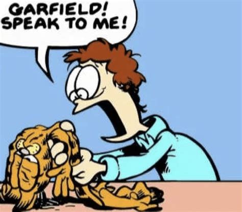 Top 10 Memes With Crazy Backstories Memes Garfield Garfield Images