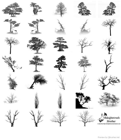 35 Photoshop 7 Tree Brushes Download