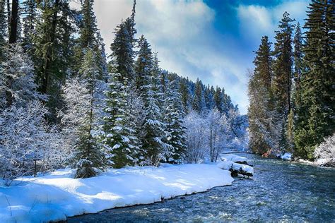 Winter Scene On The River Photograph By Lynn Hopwood Fine Art America