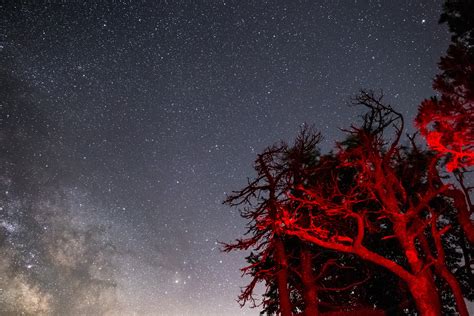 Milky Way Galaxy During Nighttime · Free Stock Photo