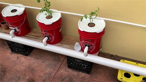 how i built my dwc system recirculating deep water culture hydroponic peppers and tomatoes