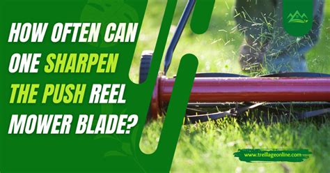 How To Sharpen Reel Mower Blades Step By Step Guide
