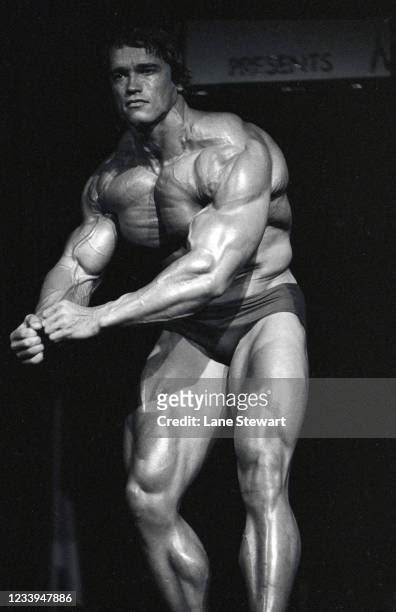 Arnold Schwarzenegger 1974 Photos And Premium High Res Pictures Getty