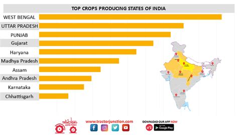 Top 10 Agriculture States In India Largest Crop Producing States