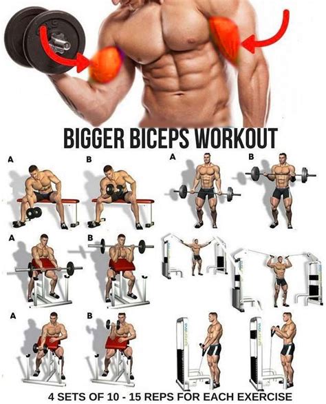 🚨biceps Workouts Made Better 5 Exercises Big Biceps Workout Biceps