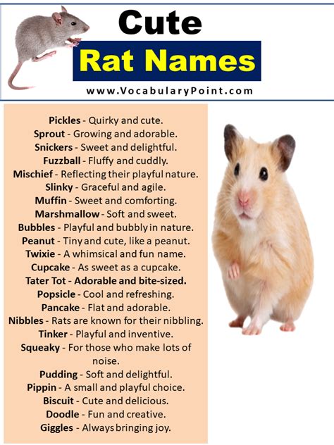 Cute Pet Rat Names Famous Disney Rats Vocabulary Point