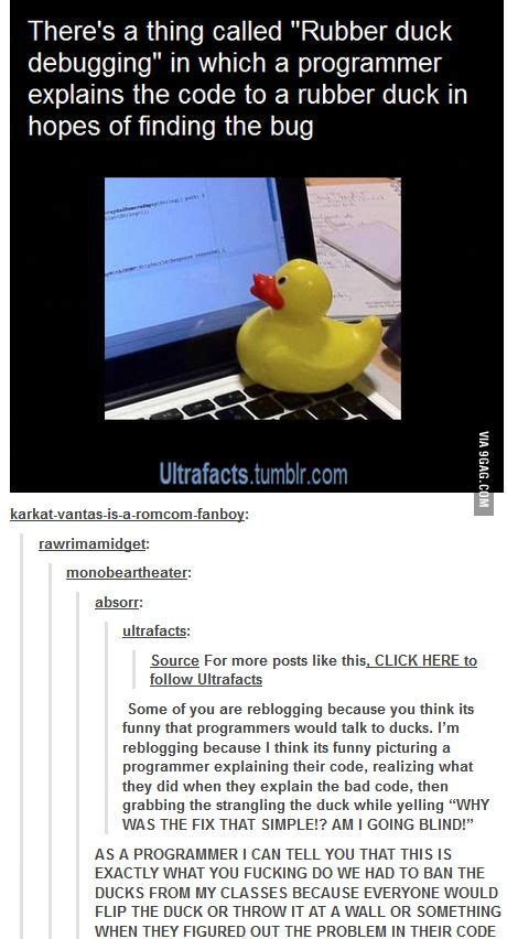 The closest i've been to a diet this year is erasing food searches from my browser history. Programming duck. | Computer humor, Programmer humor ...
