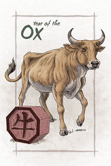 Ox Chinese Zodiac Drawing Janainataba