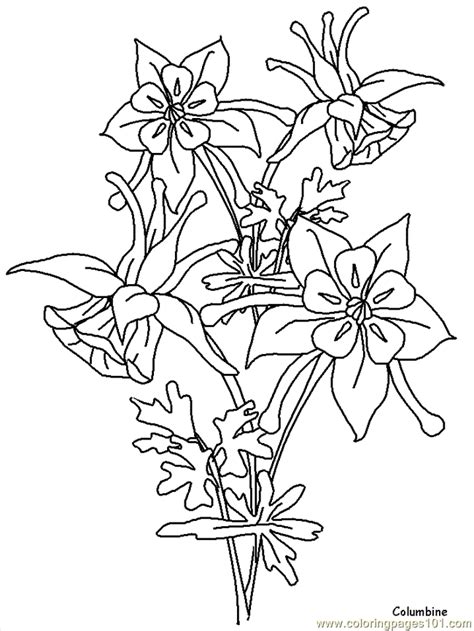 Choose your favorite realistic coloring page and start coloring. Realistic Flowers Coloring Page - Free Realistic Flowers ...