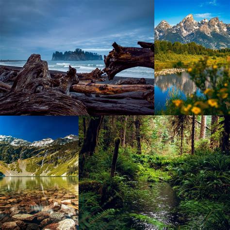 Photo Collage 20 Piece Nature Photography Print Set Wall Etsy