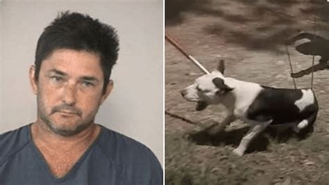 71 Yr Old Man Killed By 7 Dogs Fresno Tx Dog Owner Arrested