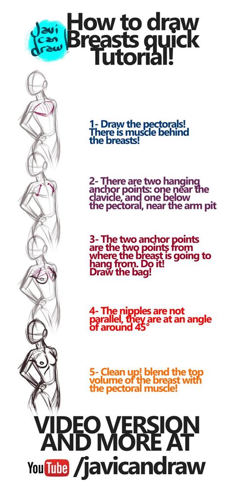 How To Draw Breasts By Javicandraw On Deviantart Human Body Drawing