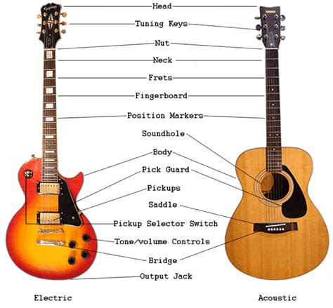 The Anatomy Of A Guitar Terms You Need To Know Guitar Space 2022