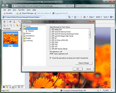 Prizm Activex Viewer