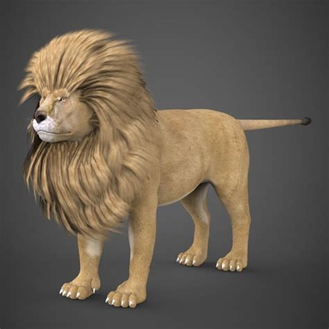 Realistic Lion 3d Model In Wildlife 3dexport