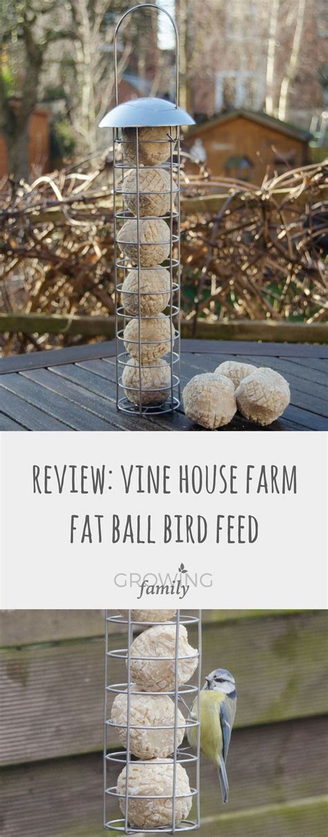 For a fancier suet, add natural peanut butter to the mix. Pin on Homemade bird feeders