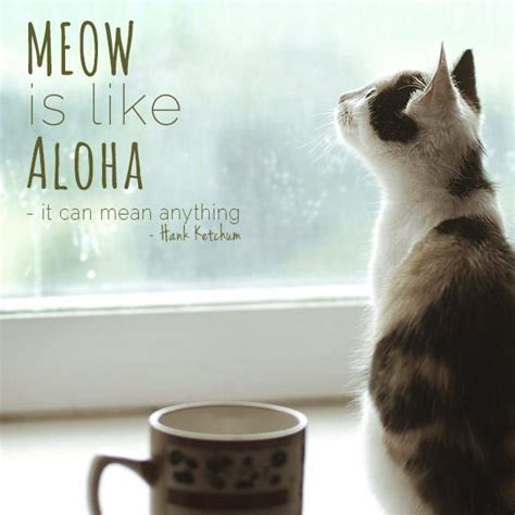 30 Cat Lovers Quotes Only Cat Lovers Will Understand Cat Lover Quote