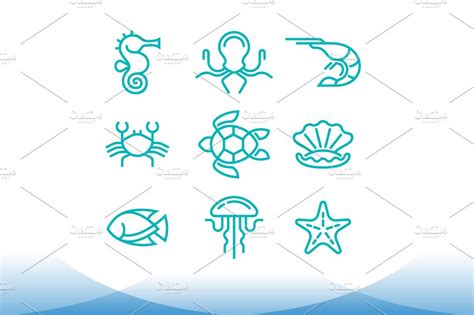 Marine Life Symbol Set Custom Designed Illustrations ~ Creative Market