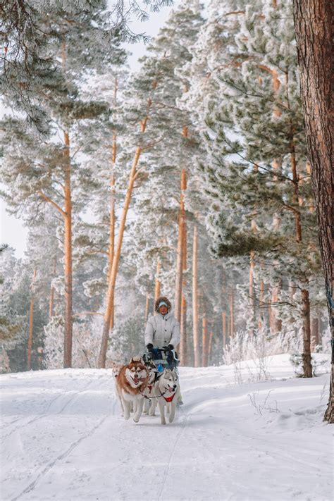 12 Best Things To Do In Lapland Finland Finland Travel Lapland