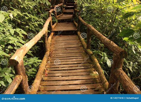 Wandern Des Pfades Stockfoto Bild Von Frech Reise Park 14577418