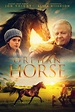 Ranking the 16 Best Horse Movies of All Time! [MUST WATCH]