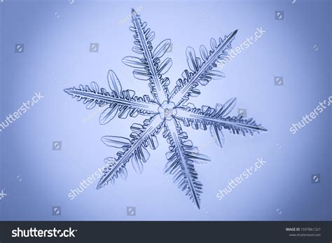 Real Snowflake Microscope Shot Stock Photo 1597861321 Shutterstock