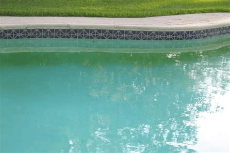 Cloudy Pool Water After Shock And Algaecide Reasons And Solutions