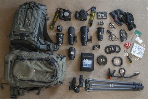Wildlife Photography Equipment For Beginners Photography School