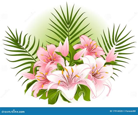 Beautiful Lily Bouquet Stock Vector Illustration Of Romantic 17914520