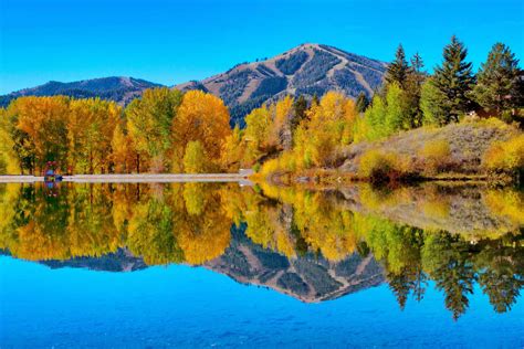 Fall Foliage In Idaho Redfish Lake Lodge