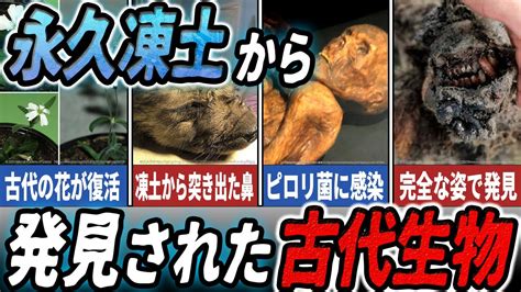 【ゆっくり解説】続々発見！永久凍土から発掘された古代生物5選 Youtube