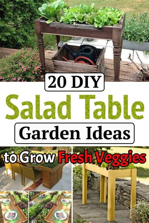 20 Diy Salad Table Ideas To Grow Fresh Veggies In 2021 Diy Salad