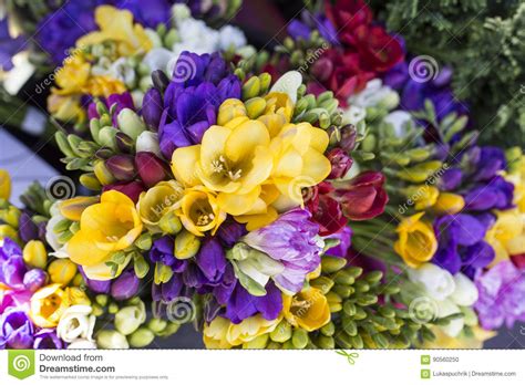 Beautiful Various Colorful Spring Flowers Stock Photo Image Of Season