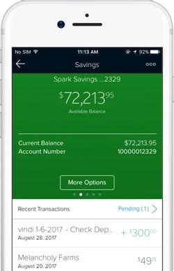 Perfect for all types of businesses. Capital One Spark Business Savings Review - Leading ...