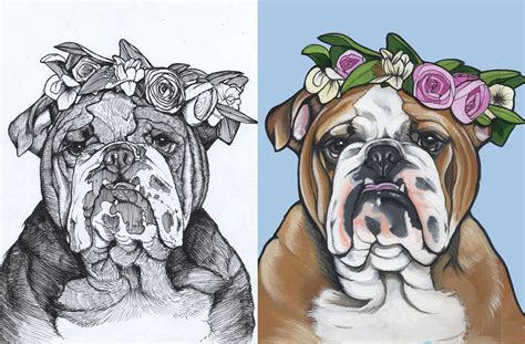 How To Draw A English Bulldog At How To Draw