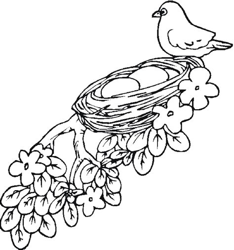 Little rabbit saw bird nest and baby bird coloring pages : Free Birds Coloring Pages