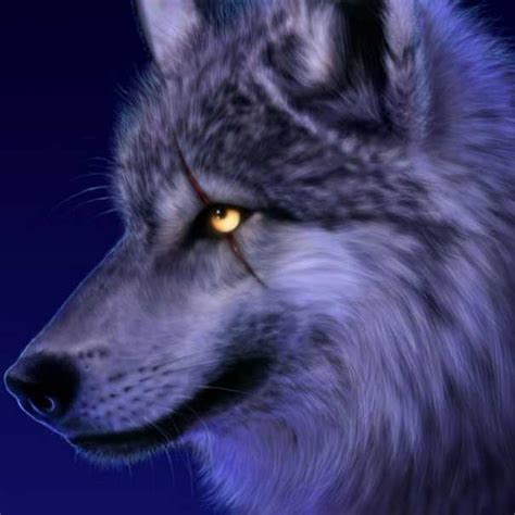 10 Interesting Wolf Facts Daily World Facts