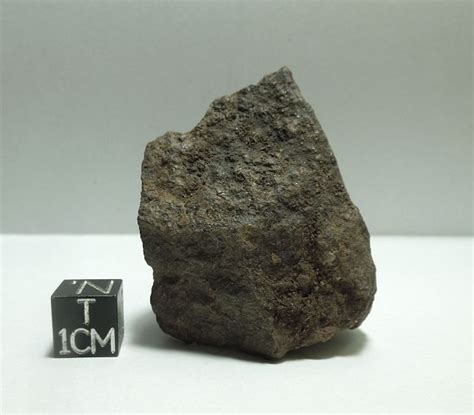 Stony Chondrite Meteorite Recovered From The Saharan Desert In Morocco