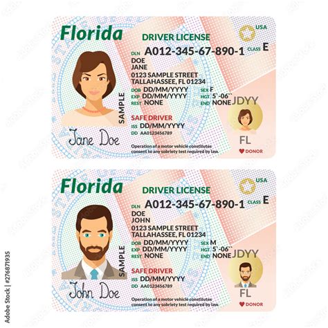 Vector Template Of Sample Driver License Plastic Card For Usa Florida