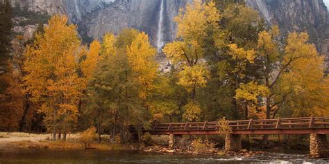 Best Places For California Autumn Leaves Visit California