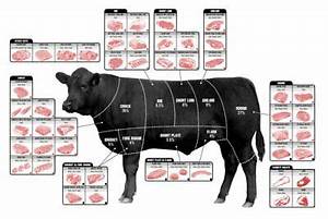 Beef Cuts Of Meat Butcher Chart Cattle Diagram Poster 16 Quot X24 Quot 12 95