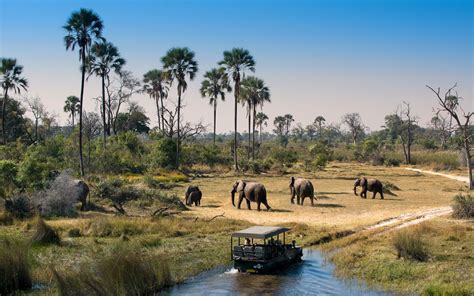 Botswana S Okavango Delta The Jewel Of Kalahari