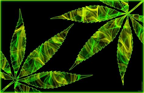 Cannabis Leaf 2 Digital Art By Joshua Fox Fine Art America