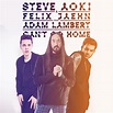Steve Aoki con Adam Lambert y Felix Jaehn: Can't go home, la portada de ...