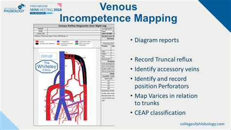 Venous Incompetence Mapping British Association Of Sclerotherapists
