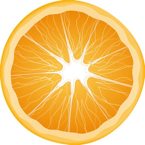 Orange Png 10 Free Cliparts Download Images On Clipground 2023