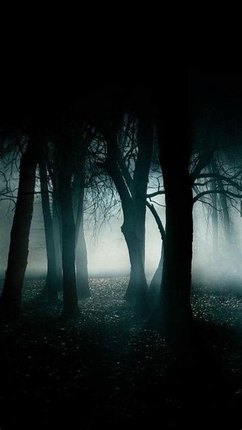 Best Dark Forest The Iphone Wallpapers